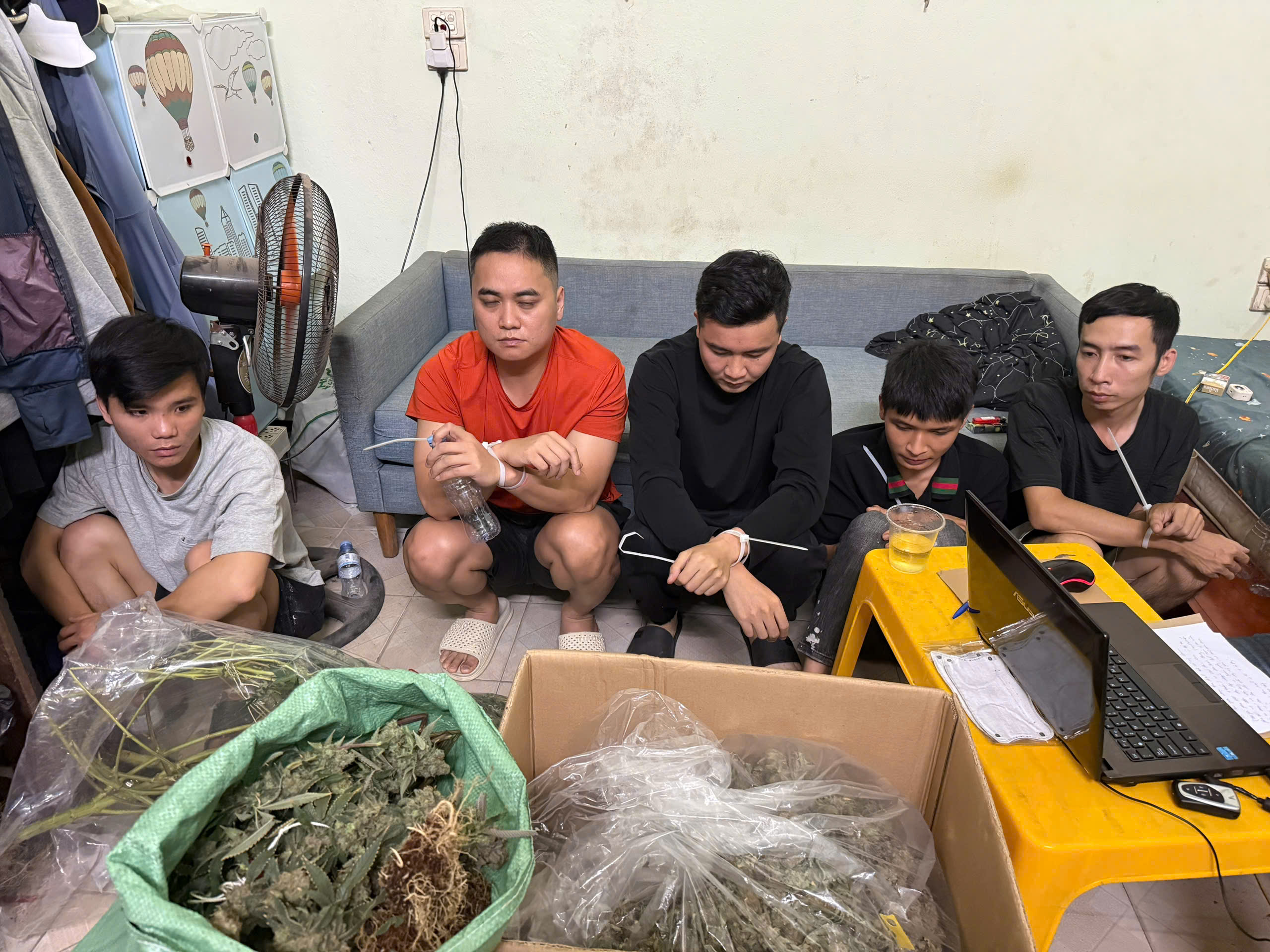 Cảnh giác với tội phạm trồng và mua bán cần sa trên không gian mạng