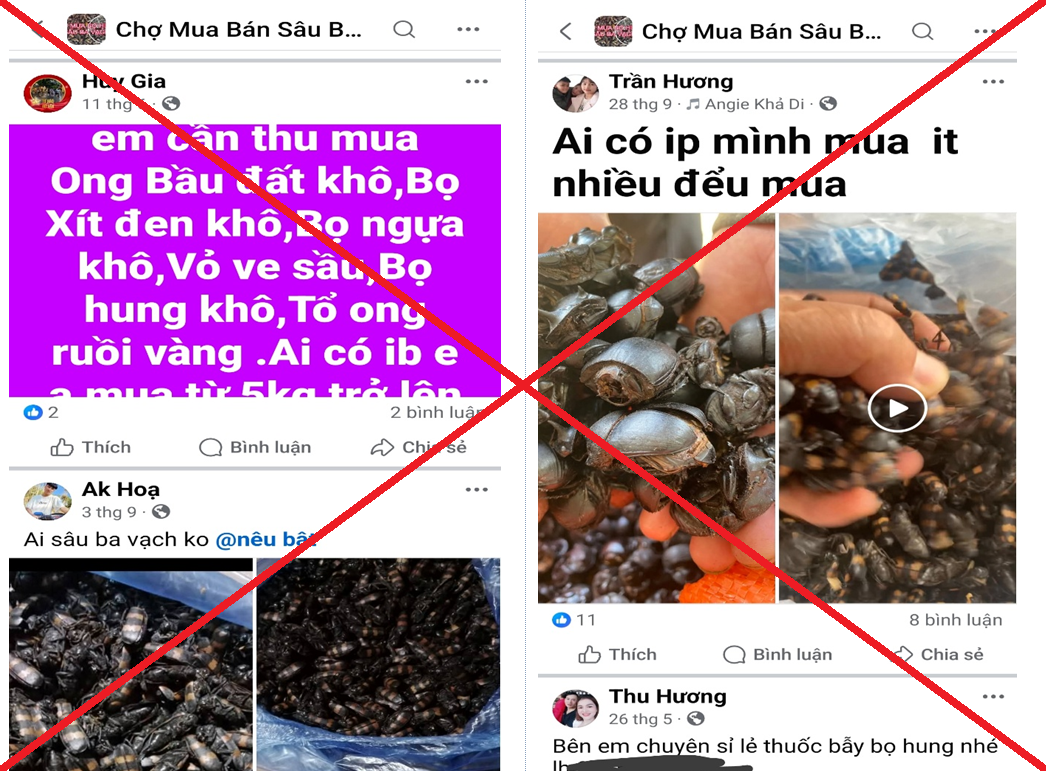 Cảnh giác với các thủ đoạn lừa đảo mua côn trùng giá cao trên không gian mạng