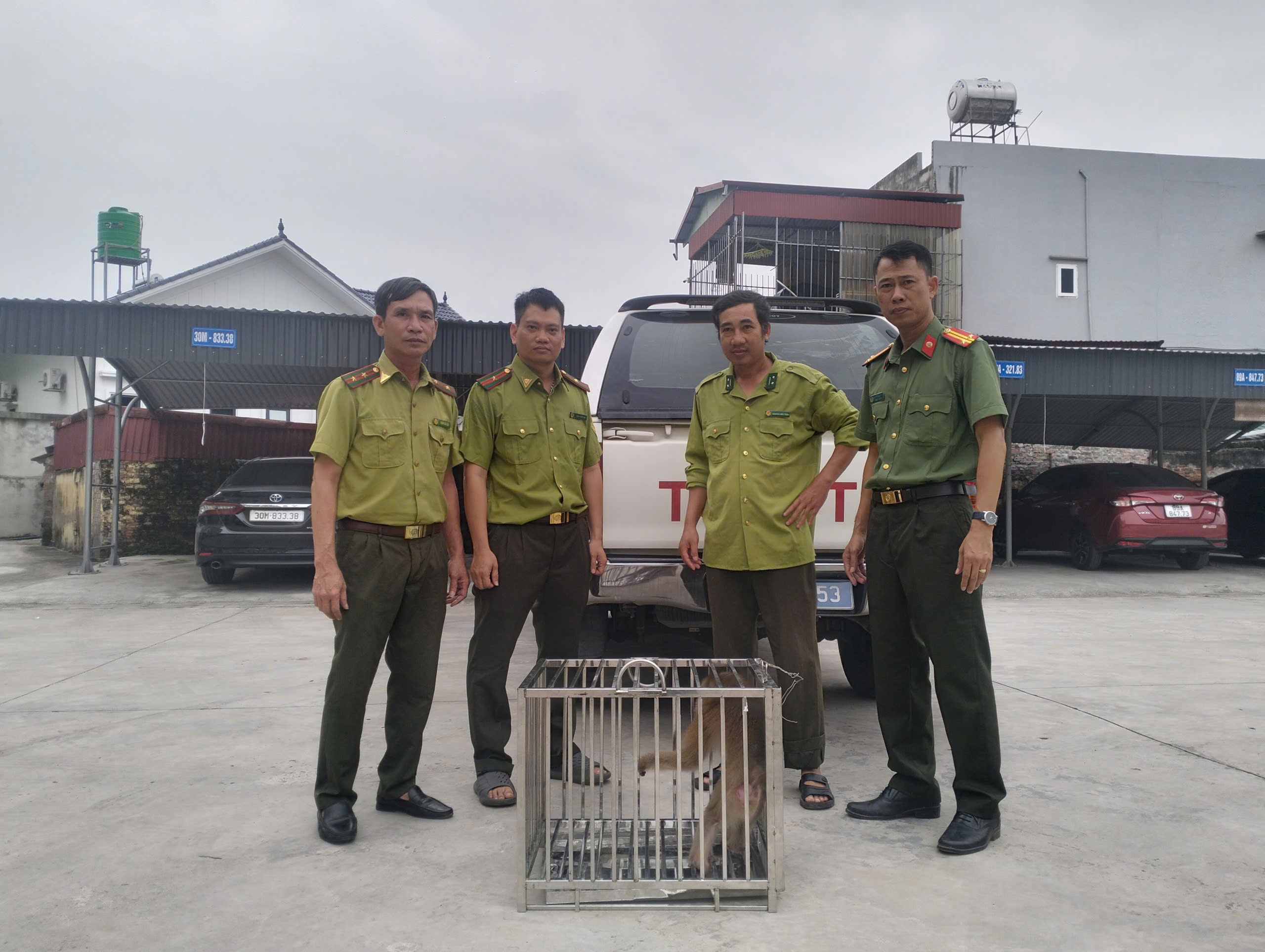 Công an xã Bình Định: Phối hợp giải cứu an toàn, tiếp nhận cá thể khỉ hoang dã đi lạc vào khu dân cư