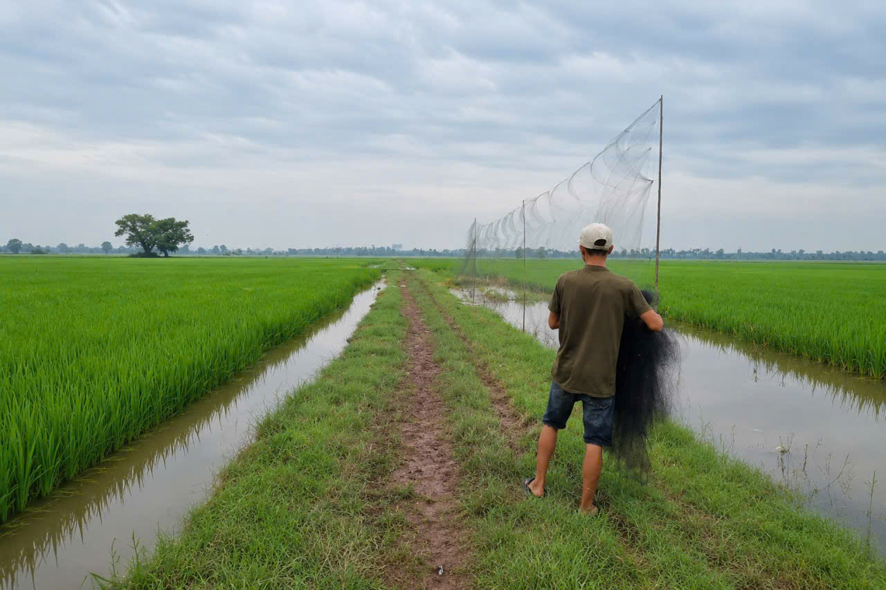 Công an xã Lương Bằng tăng cường tuyên truyền, xử lý các hành vi vi phạm pháp luật liên quan đến bảo vệ các loài động vật hoang dã, bảo vệ nguồn lợi thủy sản