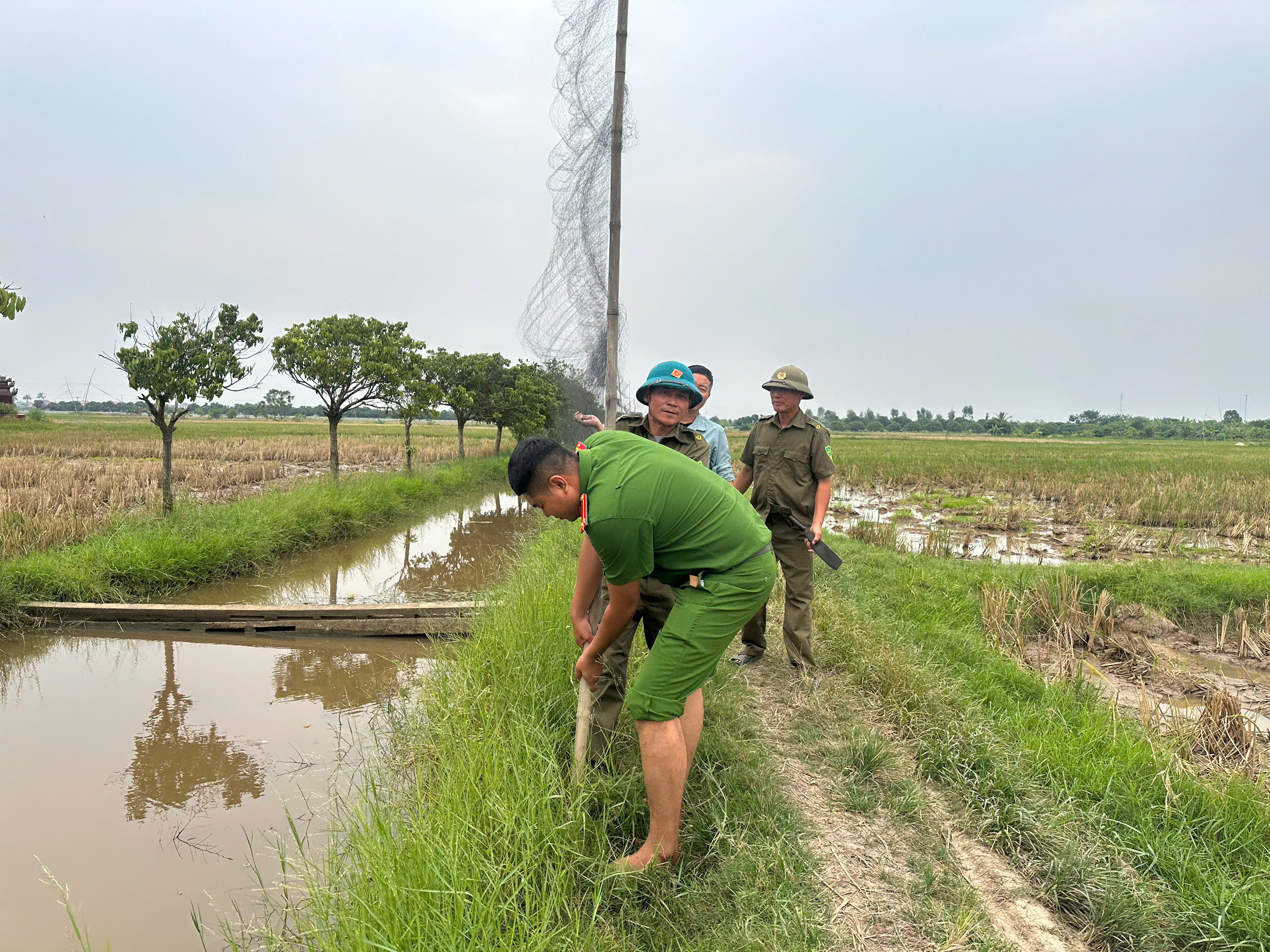 Công an xã Quang Hưng phát hiện, tháo dỡ, xử lý hơn 200 mét lưới bẫy chim hoang dã trái phép