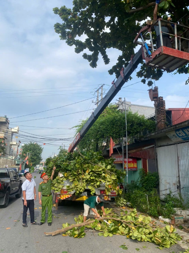Công an xã Tân Thuận ra quân phát quang cây xanh, vệ sinh môi trường tại địa phương