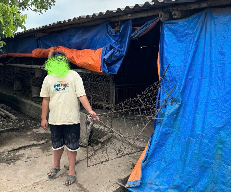 Công an xã Triệu Việt Vương chủ động phòng ngừa, đấu tranh với hành vi trộm cắp dây điện