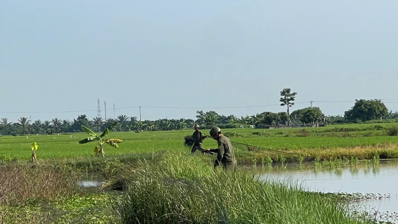 Công an xã Thái Thụy phát hiện, thu giữ nhiều dụng cụ bẫy chim