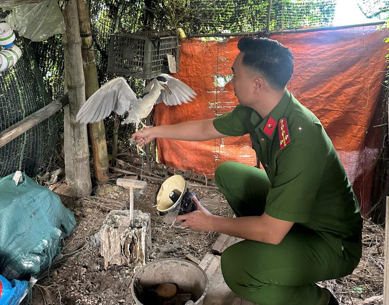 Công an xã Đông Thụy Anh xử phạt vi phạm hành chính đối với hành vi nuôi, nhốt trái phép động vật hoang dã