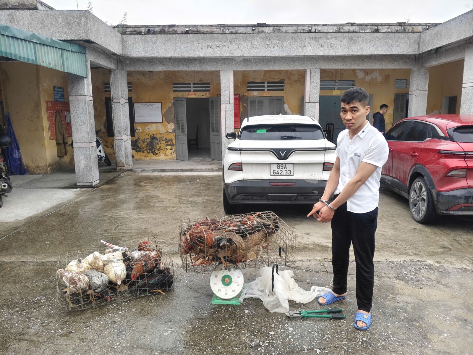 Công an xã Bắc Thuỵ Anh bắt giữ đối tượng trộm cắp vật nuôi sau 3 tiếng tiếp nhận tin báo