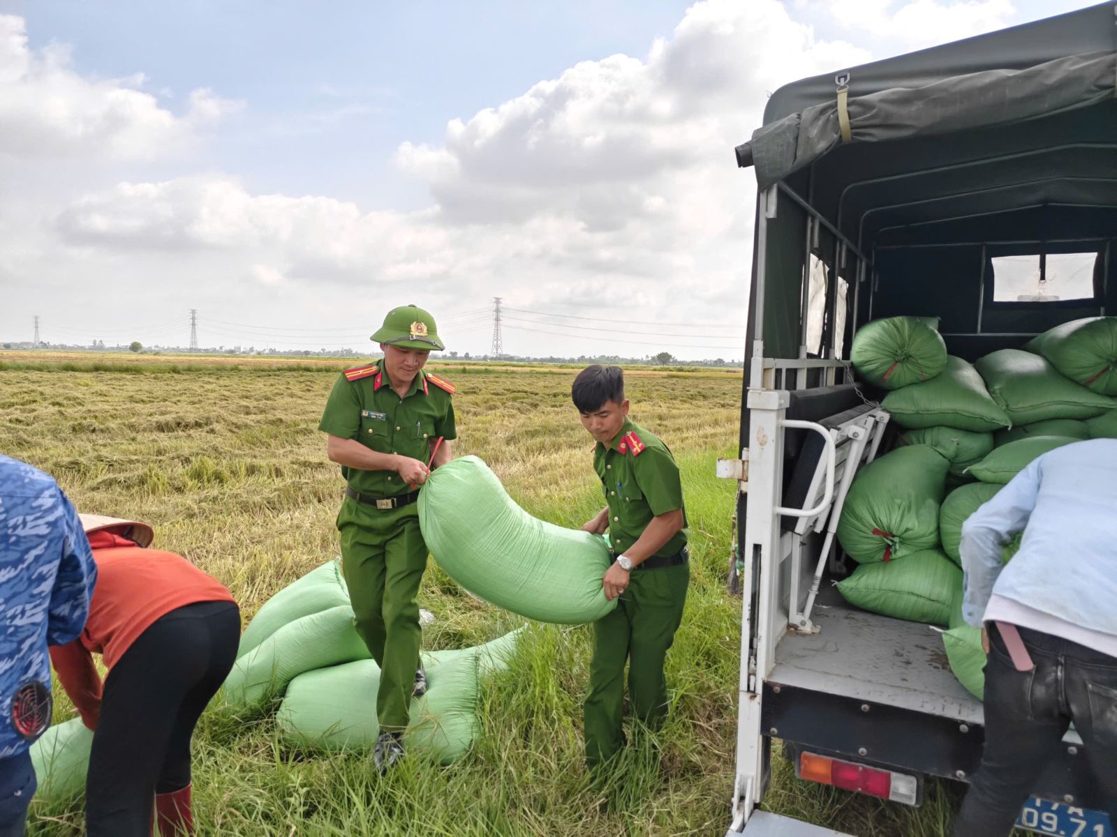 Công an xã Bắc Thái Ninh hỗ trợ các gia đình chính sách trên địa bàn xã thu hoạch lúa