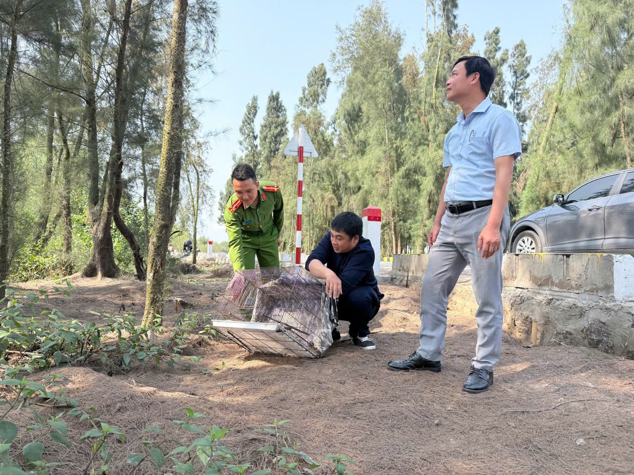 Công an phường Hồng Châu phối hợp thả động vật hoang dã về môi trường tự nhiên