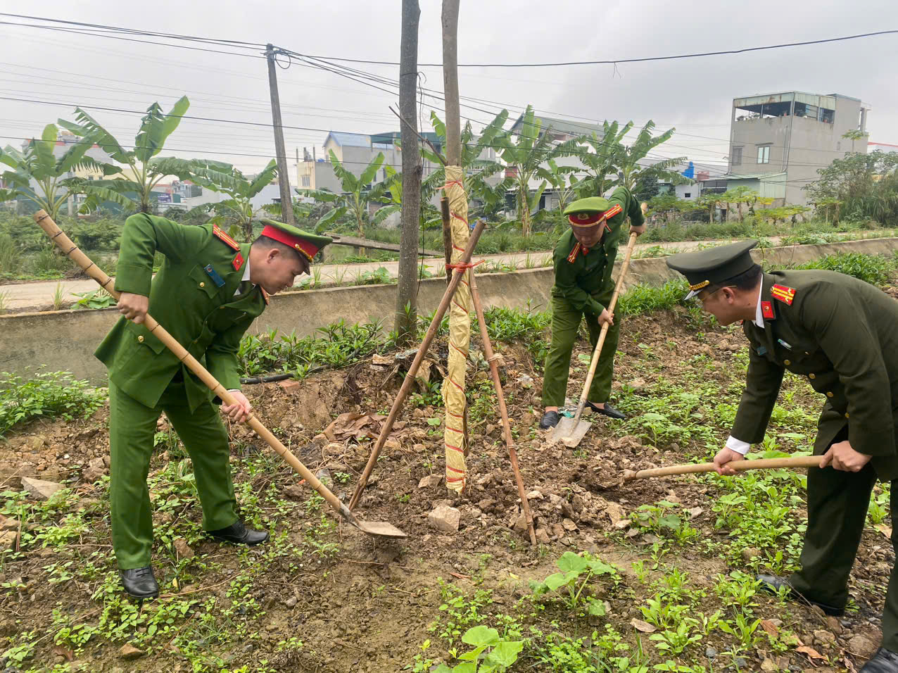 Công an phường Thượng Hồng hưởng ứng phong trào “Tết trồng cây đời đời nhớ ơn Bác Hồ”