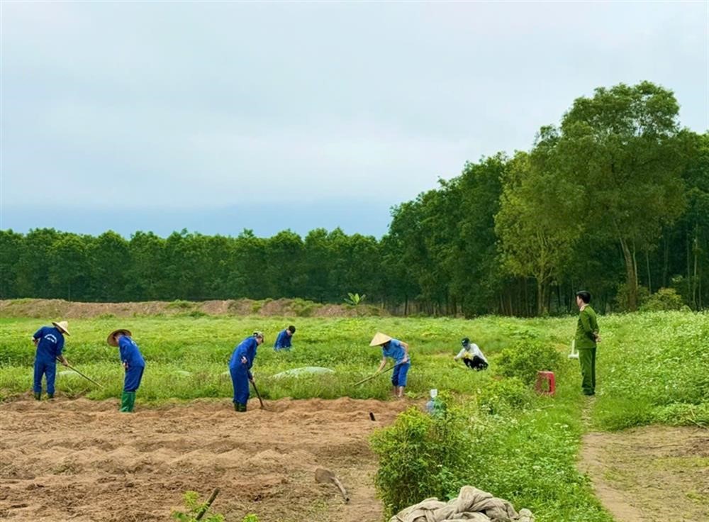 Công bố danh mục thủ tục hành chính mới trong lĩnh vực tổ chức cai nghiện ma túy và quản lý sau cai nghiện ma túy