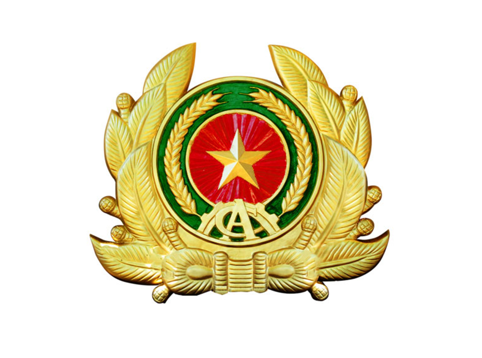 Dự thảo Tờ trình, Quyết định quy phạm pháp luật của UBND tỉnh quy định chi tiết Luật Trật tự, an toàn giao thông đường bộ