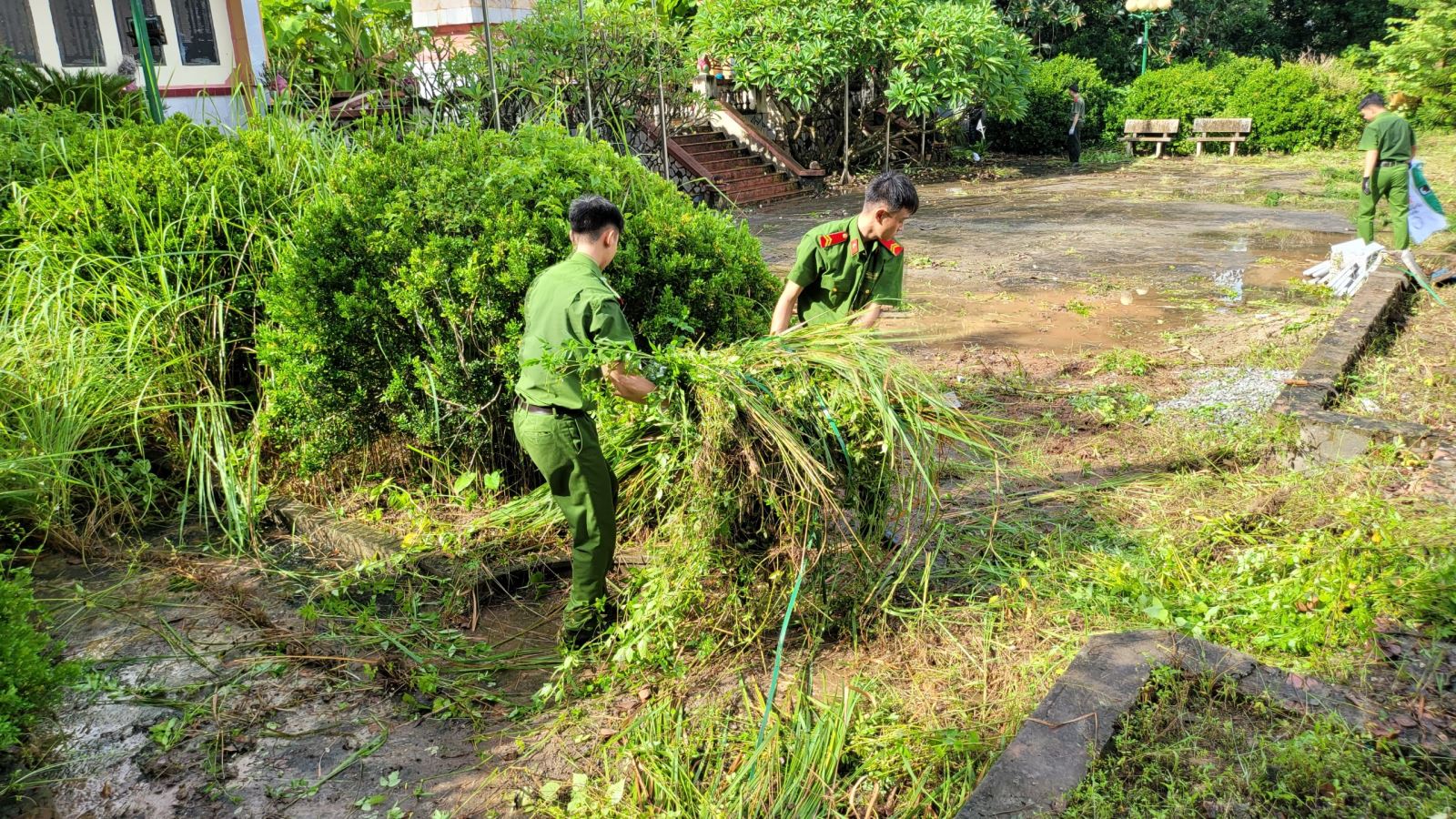 Ban Thanh niên Công an tỉnh: Tổ chức hoạt động Ngày Chủ nhật xanh và cao điểm chung tay xây dựng nông thôn mới hưởng ứng Chiến dịch Thanh niên tinh nguyện Hè năm 2024