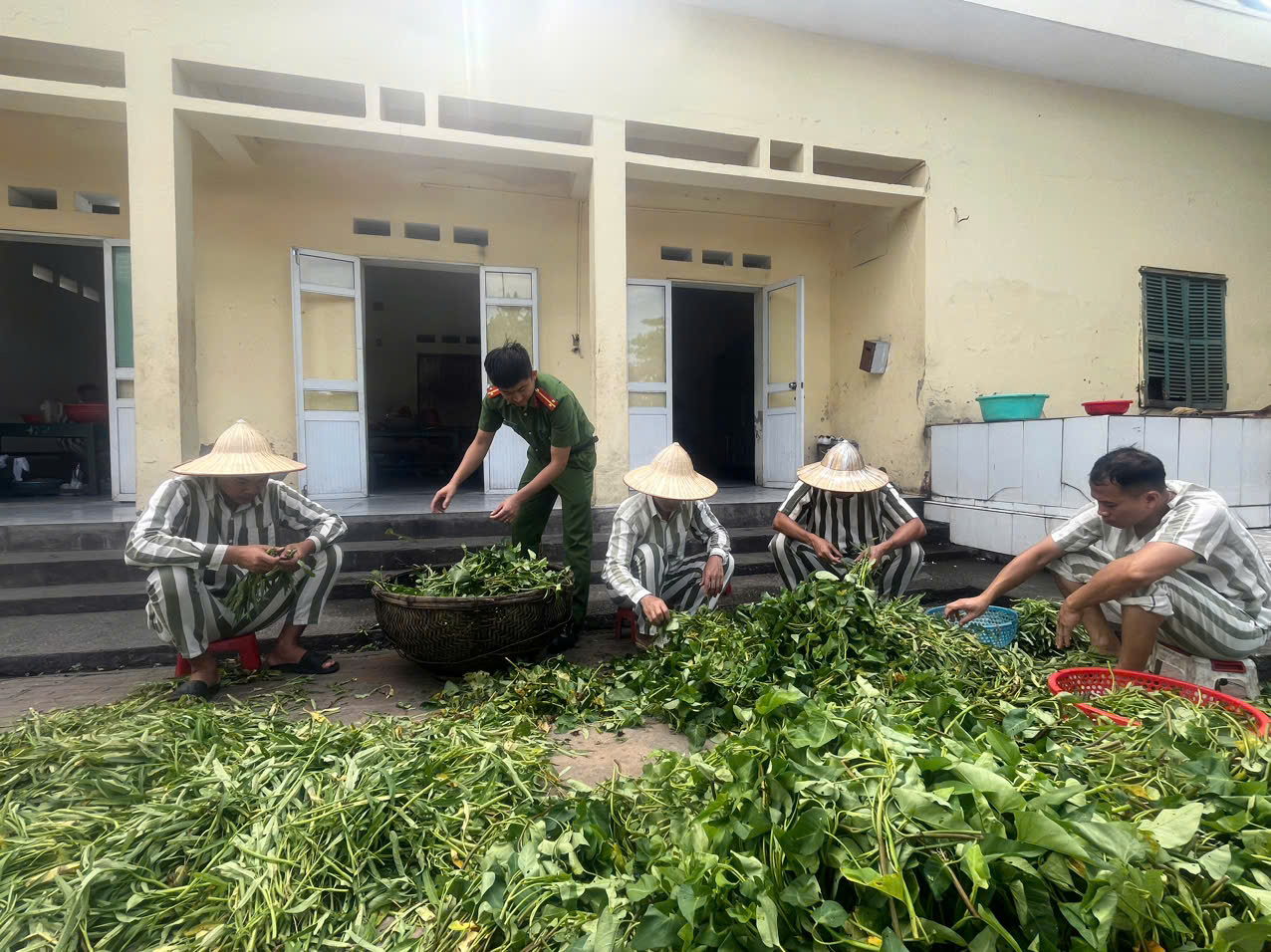 Nâng cao hiệu quả công tác quản lý, giáo dục và thực hiện chế độ đối với người bị tạm giữ, tạm giam và phạm nhân