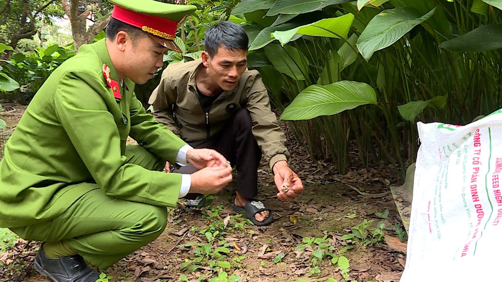 Ngăn chặn tình trạng tận diệt giun đất