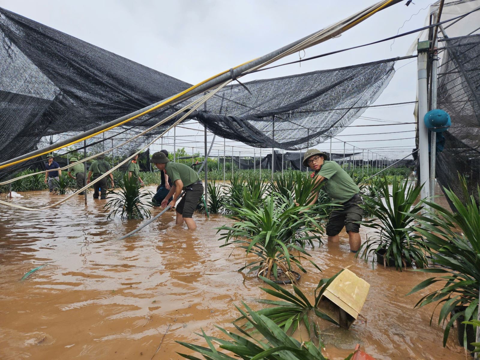 Lực lượng Công an toàn tỉnh: Tích cực hỗ trợ Nhân dân ứng phó với ngập lụt